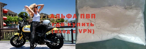 стаф Новодвинск