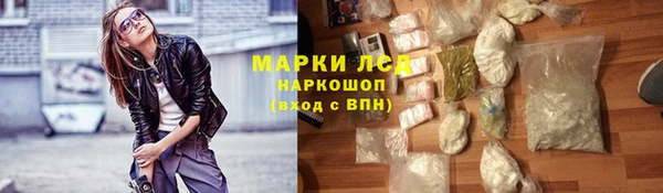 PSILOCYBIN Белокуриха