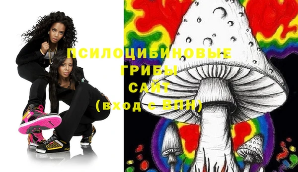 PSILOCYBIN Белокуриха
