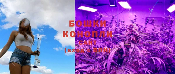 спайс Нея