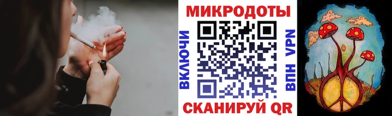 Галлюциногенные грибы Psilocybe  Купить закладки  Барыш 